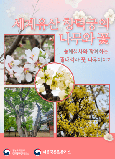 [창덕궁]오얏꽃 가득,궁궐의 아름다운 나무와 꽃 이야기