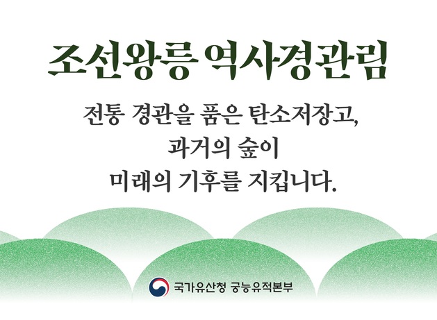 조선왕릉 역사경관림
전통 경관을 품은 탄소저장고, 과거의 숲이 미래의 기후를 지킵니다.